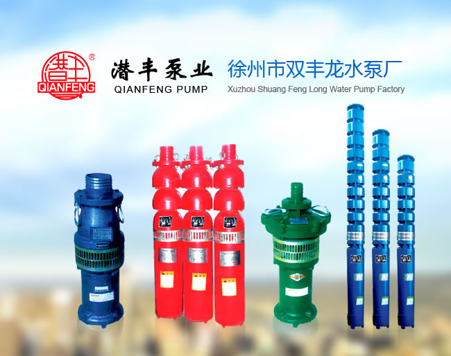徐州市雙豐龍水泵廠專業(yè)供應(yīng)噴...