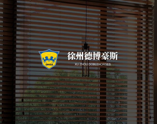 徐州德博豪斯自動(dòng)化科技有限公...